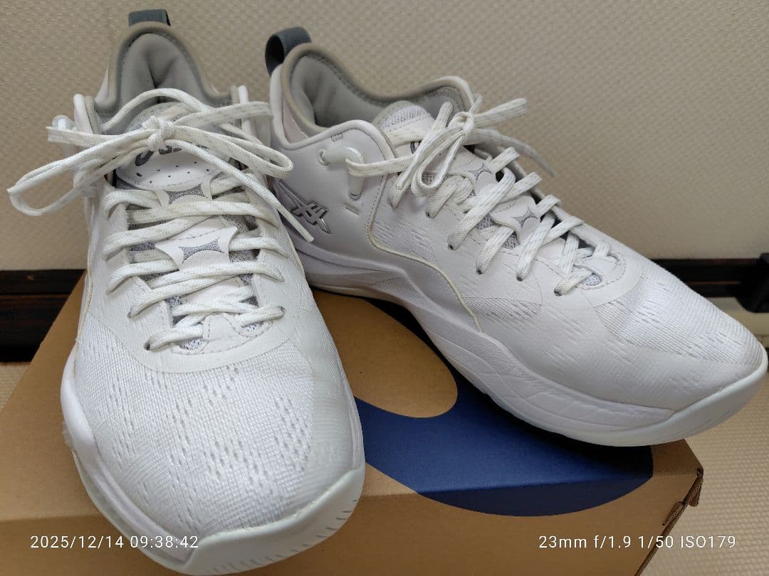 ノヴァサージロー2 美品25.5㎝　asics nova surge low 2