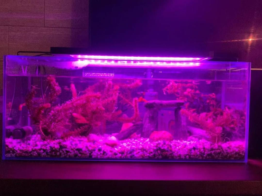 LED 水槽 アクアリウムライト 120cm～135cm タイマー付き