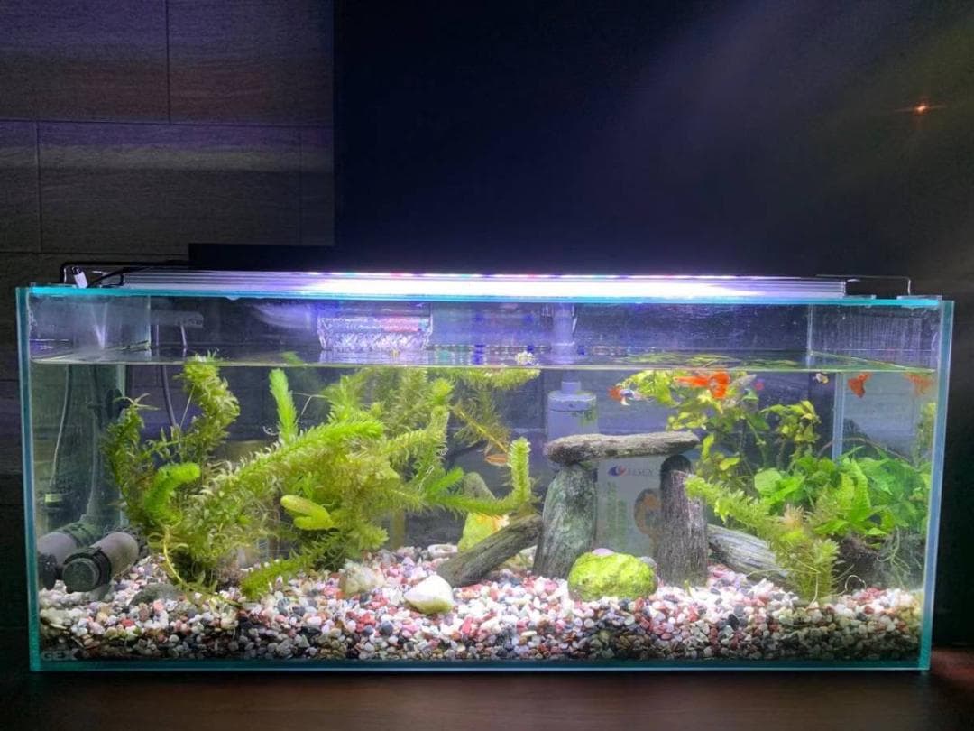 LED 水槽 アクアリウムライト 120cm～135cm タイマー付き