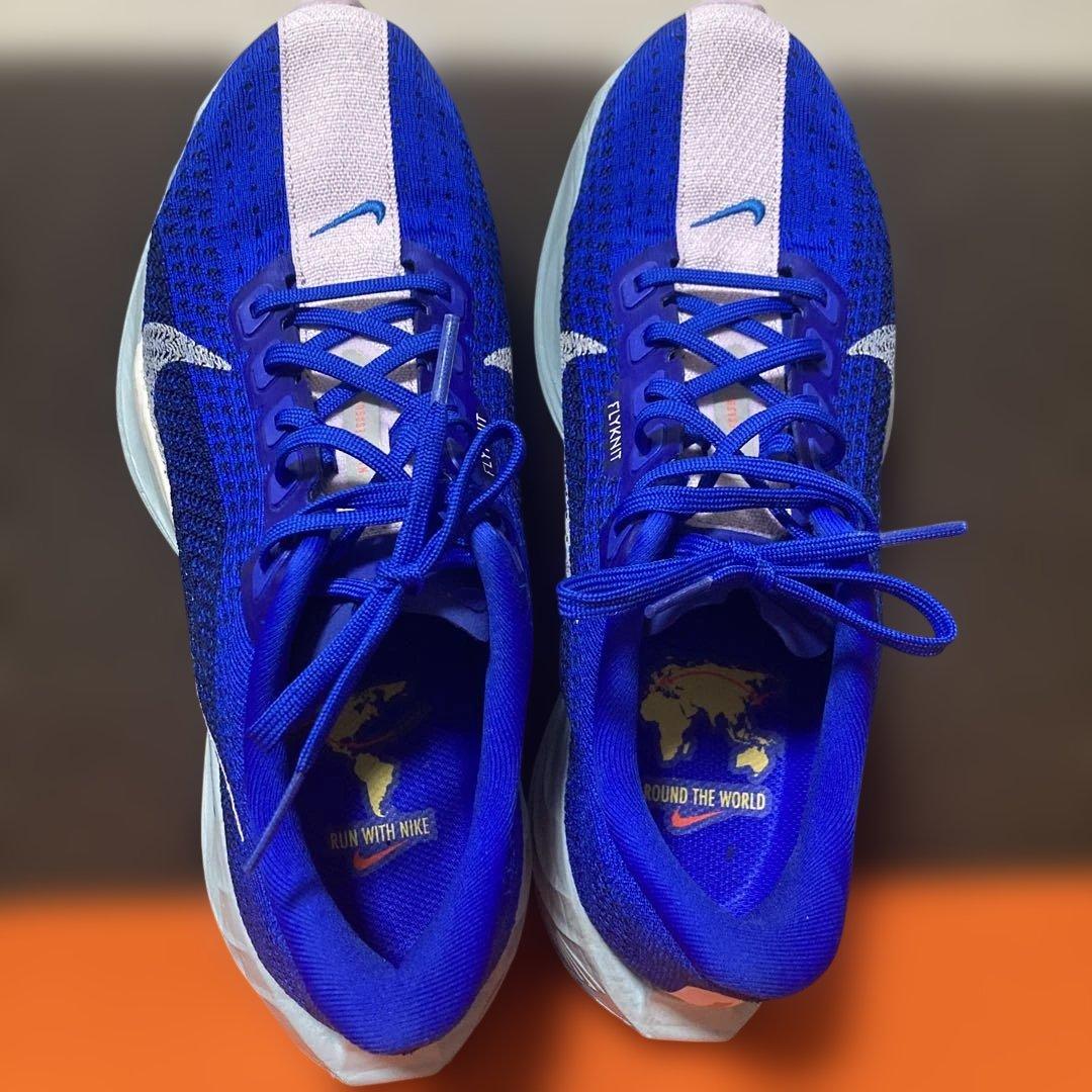 ま*き様 NIKE ペガサスプラス　25cm