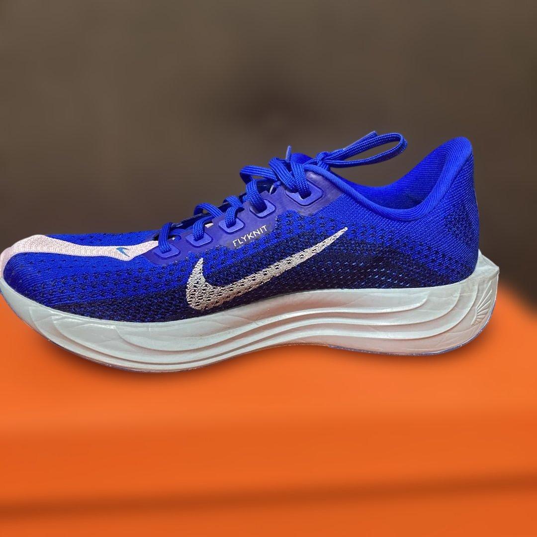 ま*き様 NIKE ペガサスプラス　25cm