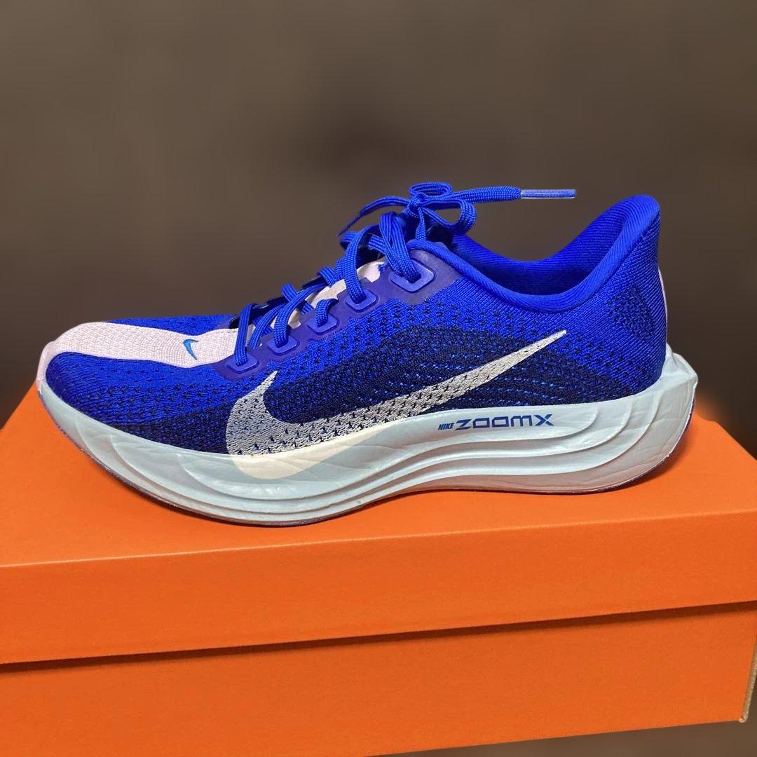 ま*き様 NIKE ペガサスプラス　25cm