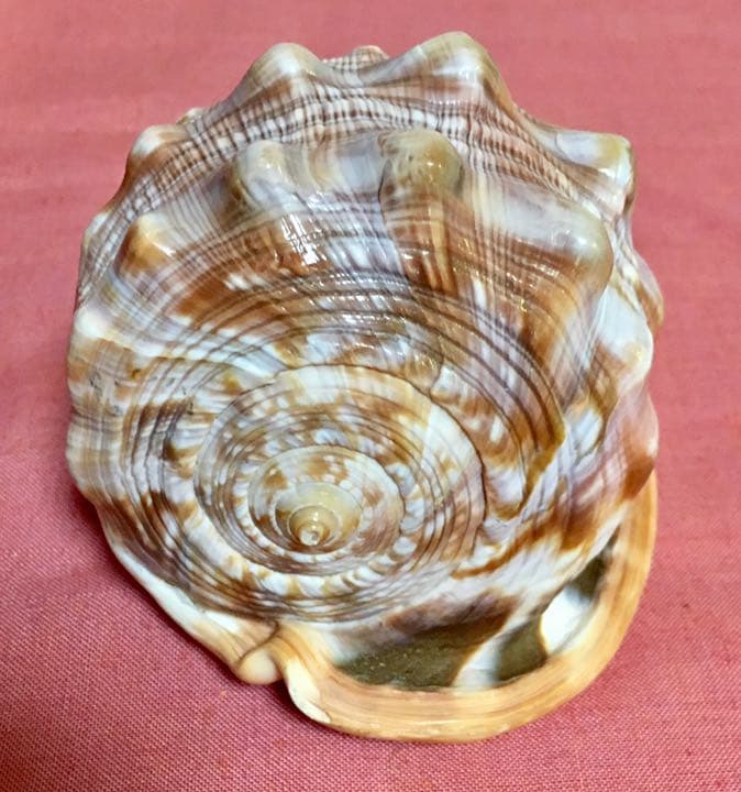 貴重❗️美品❗️カメオの置物