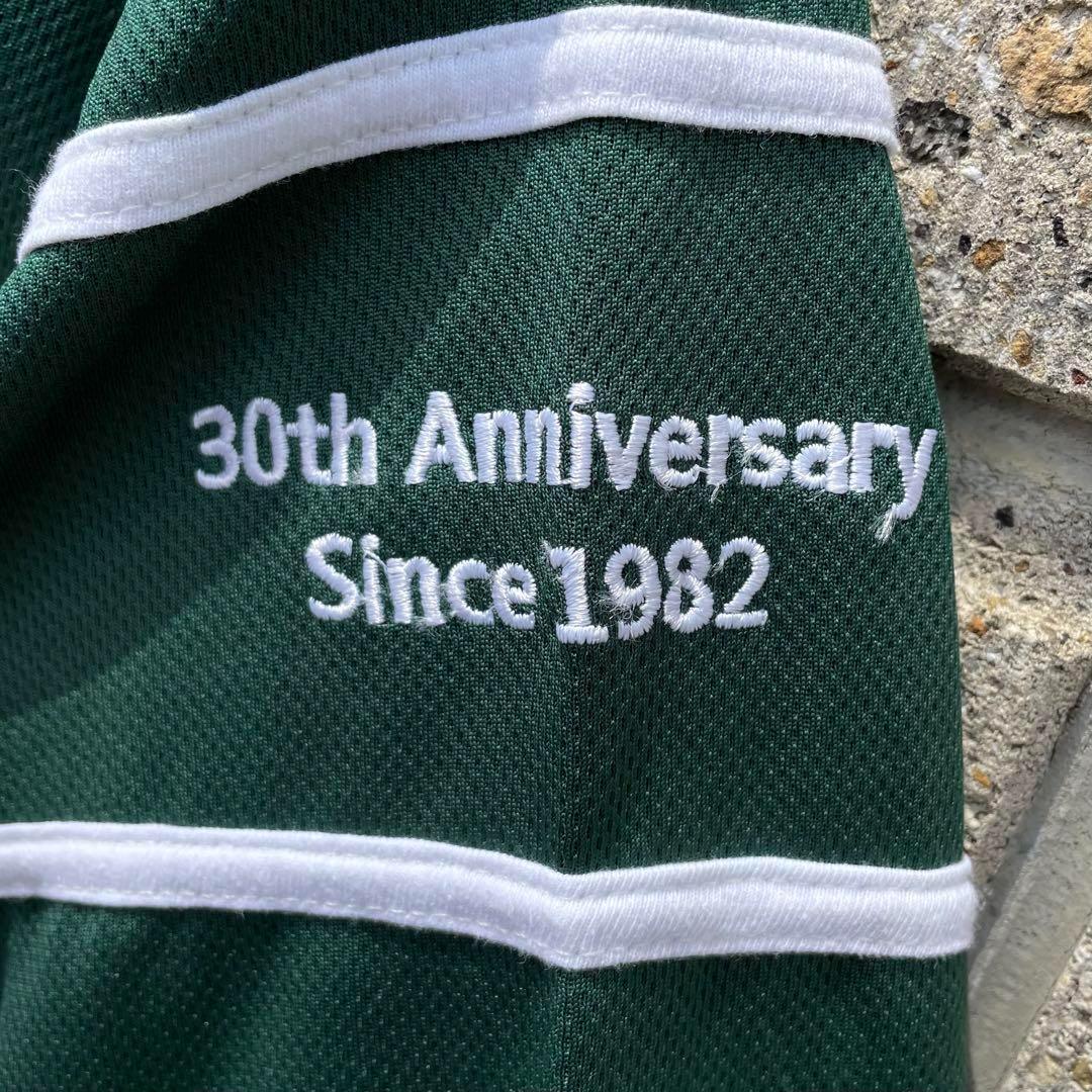 IRELAND IRISH LION オール刺繍 大きめ 古着 ラグビージャージ