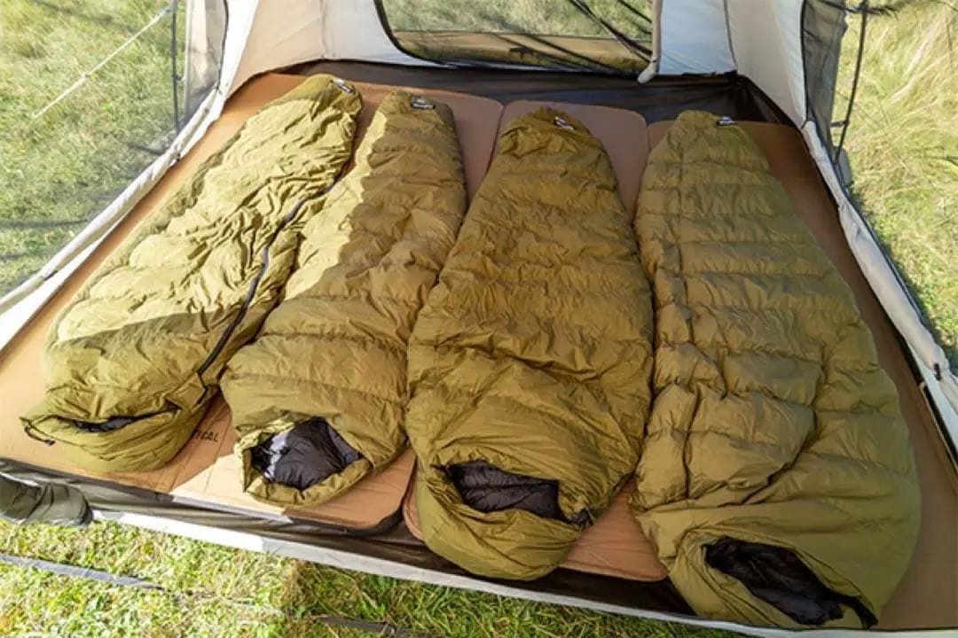サバティカル ギリア plus 2点セット