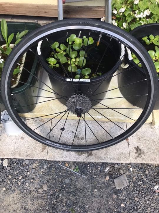 トレック　エモンダ　ALR5  ロードバイク