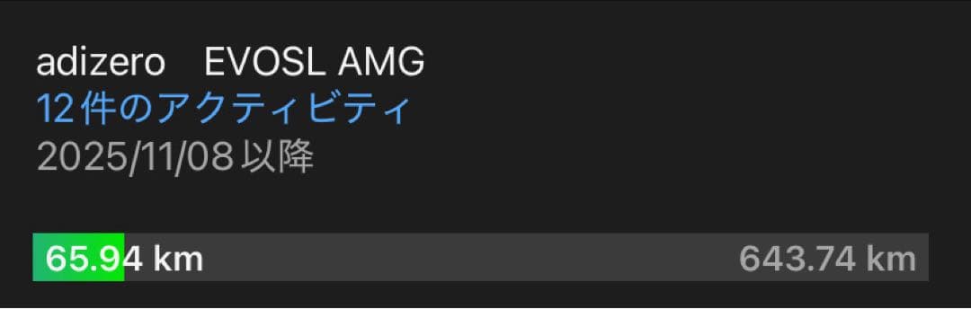 adidas アディゼロEVOSL 27センチ　AMGコラボモデル