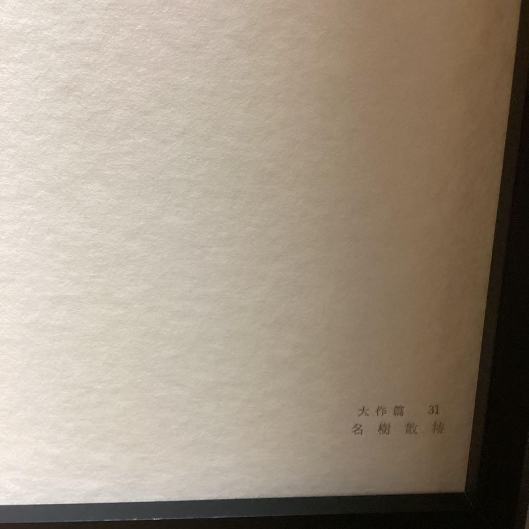 天才画家　速水御舟　作品集大作編　便利堂監修　NO 31 【名樹散椿】画集