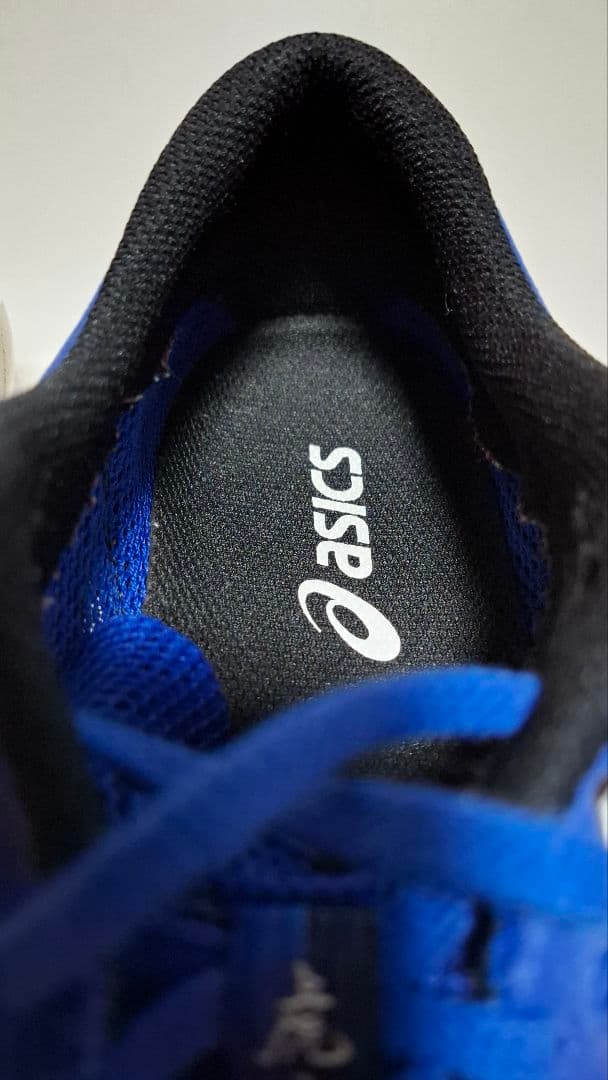 asics TARTHEREDGE　ランニングシューズ　27cm
