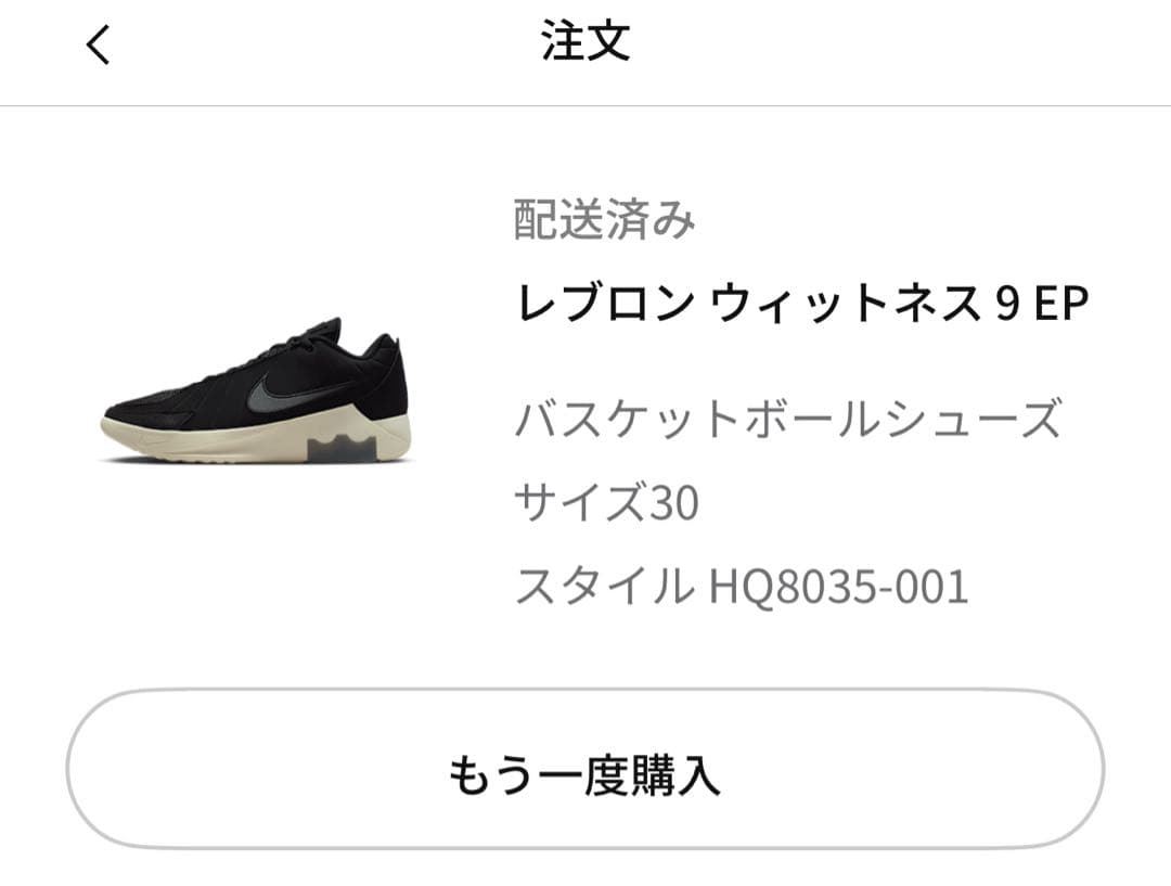 週末価格！NIKE レブロン ウィットネス9 完売サイズ！