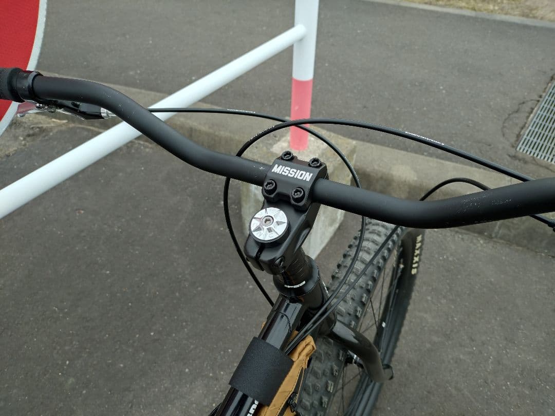 サーリー SURLY ローサイド LOWSIDE サイズ∶M