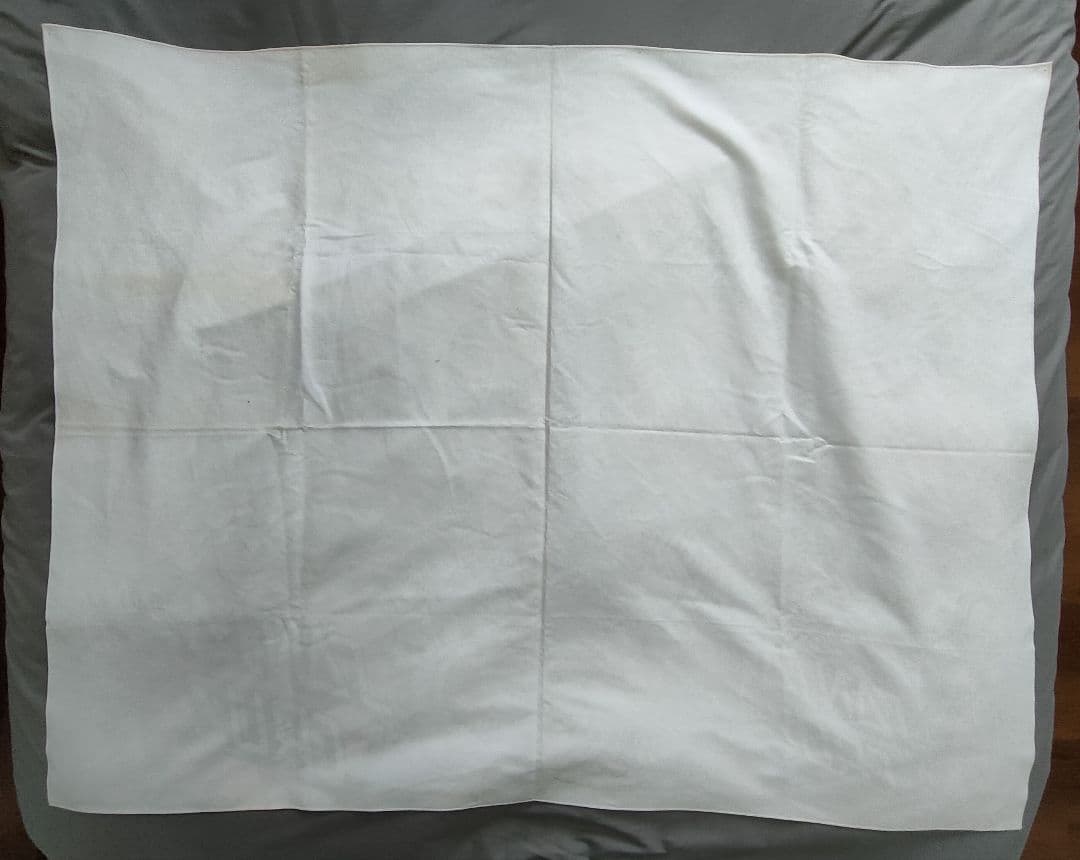 Santa Cruz マイクロファイバー大判バナー 約123cm x 98cm③