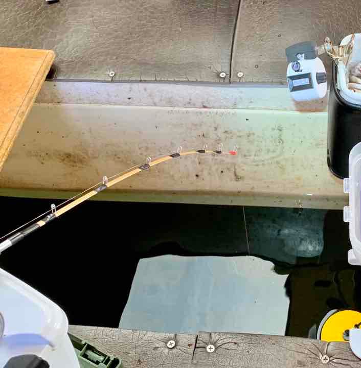 新商品　竹ワカサギ穂先