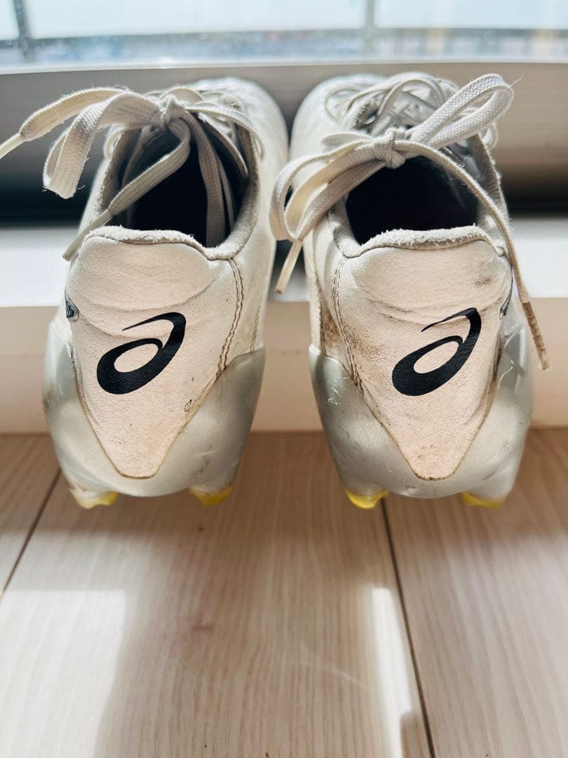 asics アシックス DSライト X-fly 26.5cm