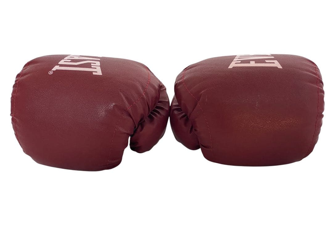EVERLAST ELITE ボクシンググローブ 16oz
