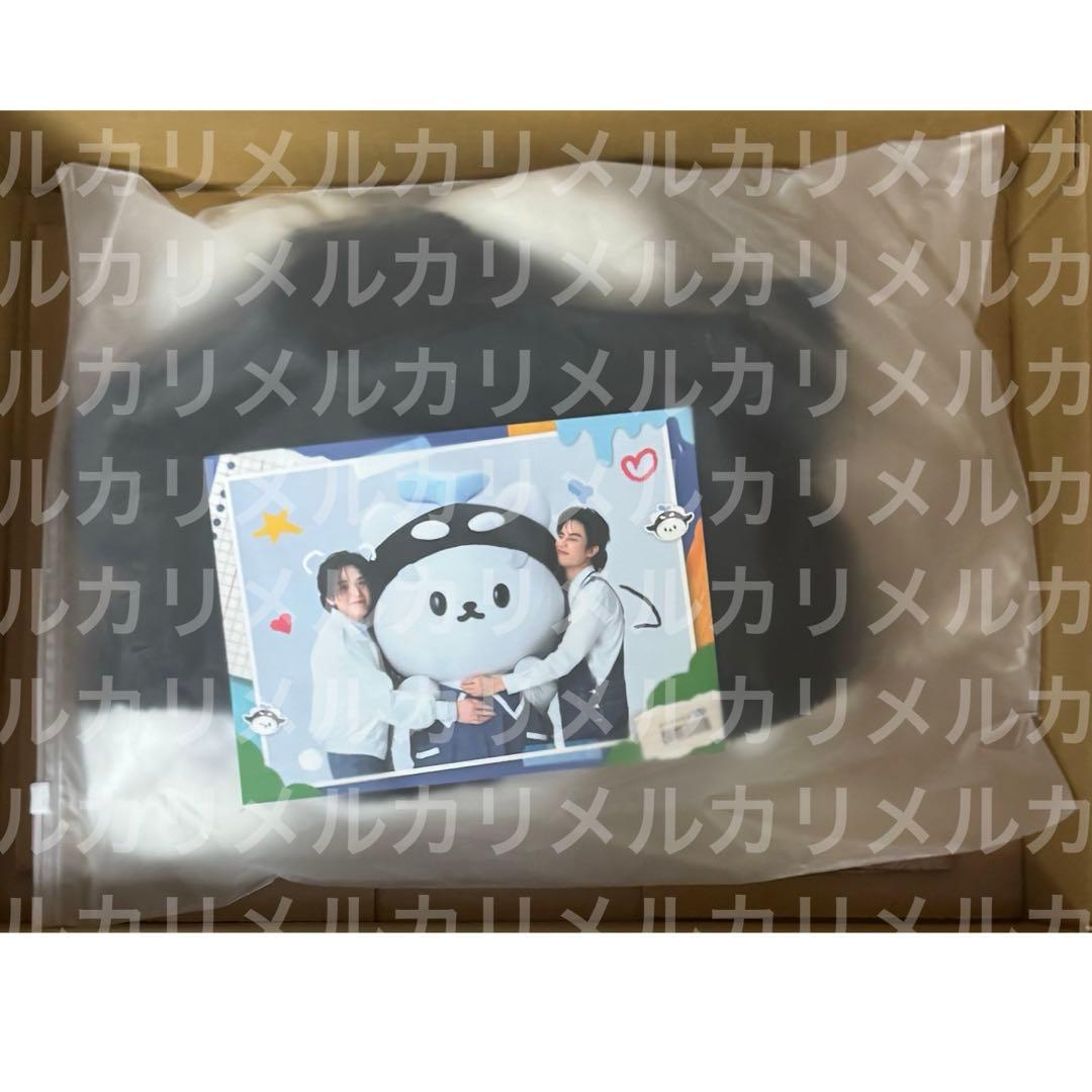 アイドル POLCASAN FLUFFY EAR POP HAT
