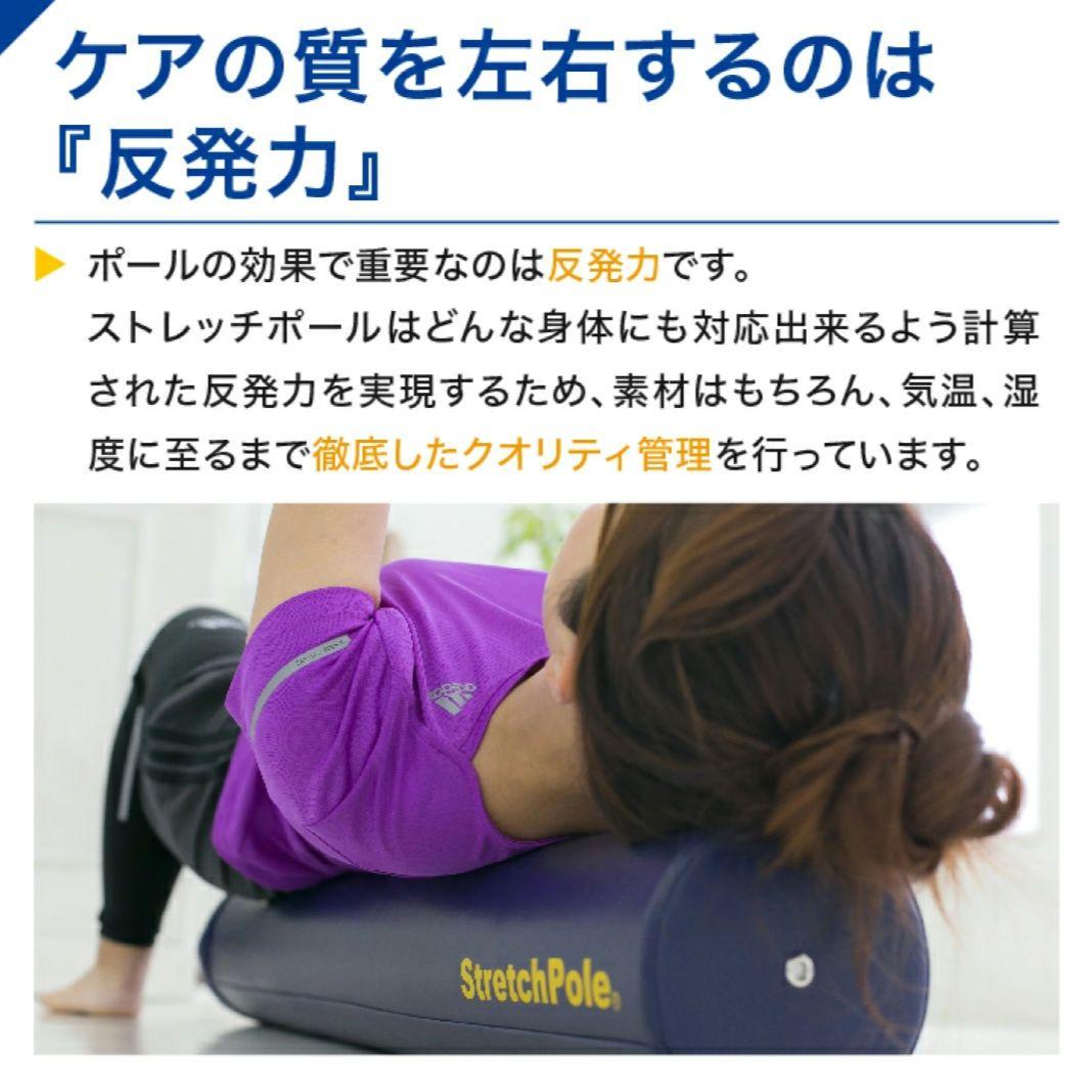 【極美品】LPN ストレッチポールEX ネイビー 紺色