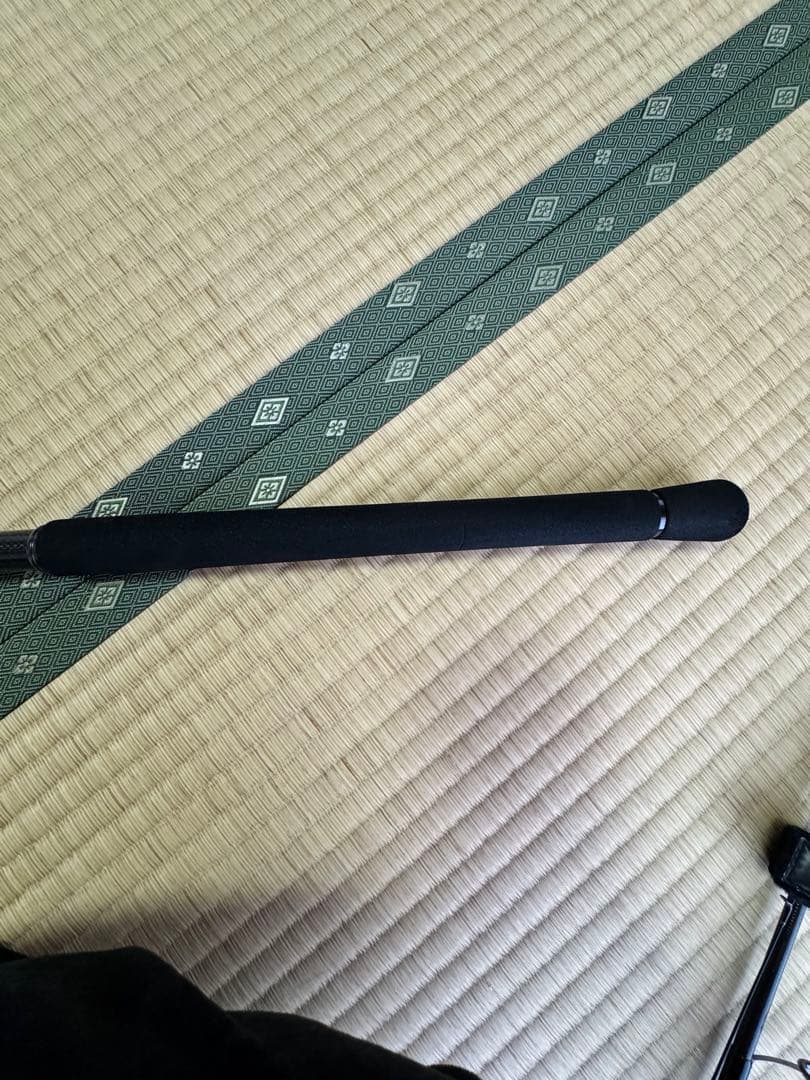 Daiwa ショアスパルタン SD 96M