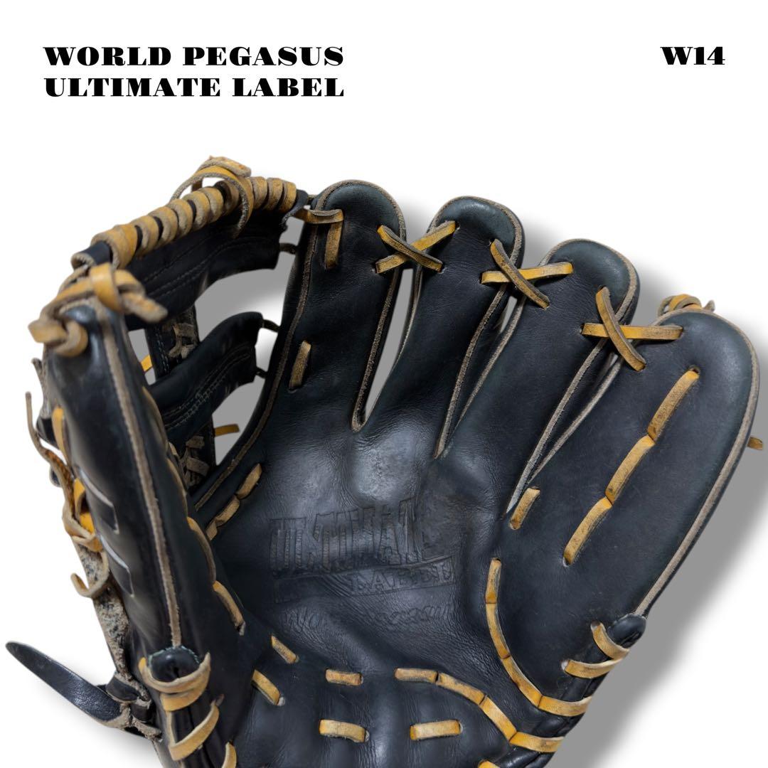 希少品！ WORLD PEGASUS ワールド ペガサス グローブ グラブ 内野