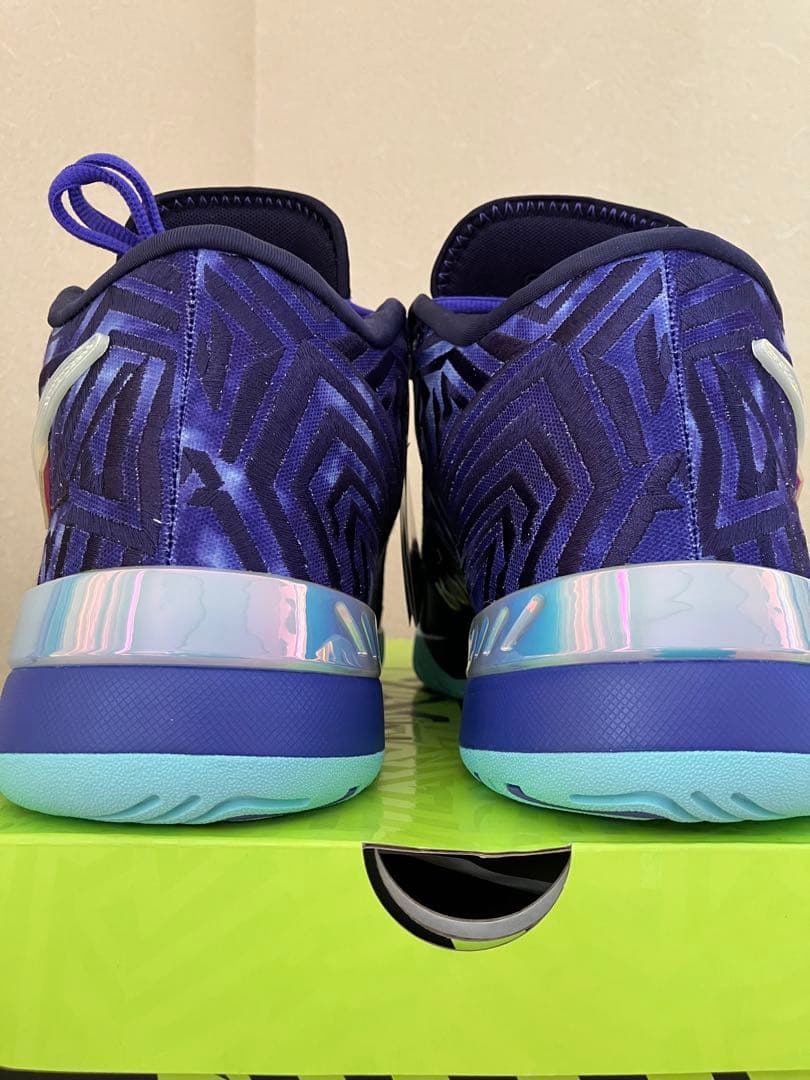 Nike ナイキ　レブロン NXXT ジーニサス QS EP 28cm
