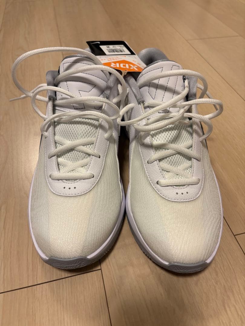 【NIKE】GIANNIS FREAK 6