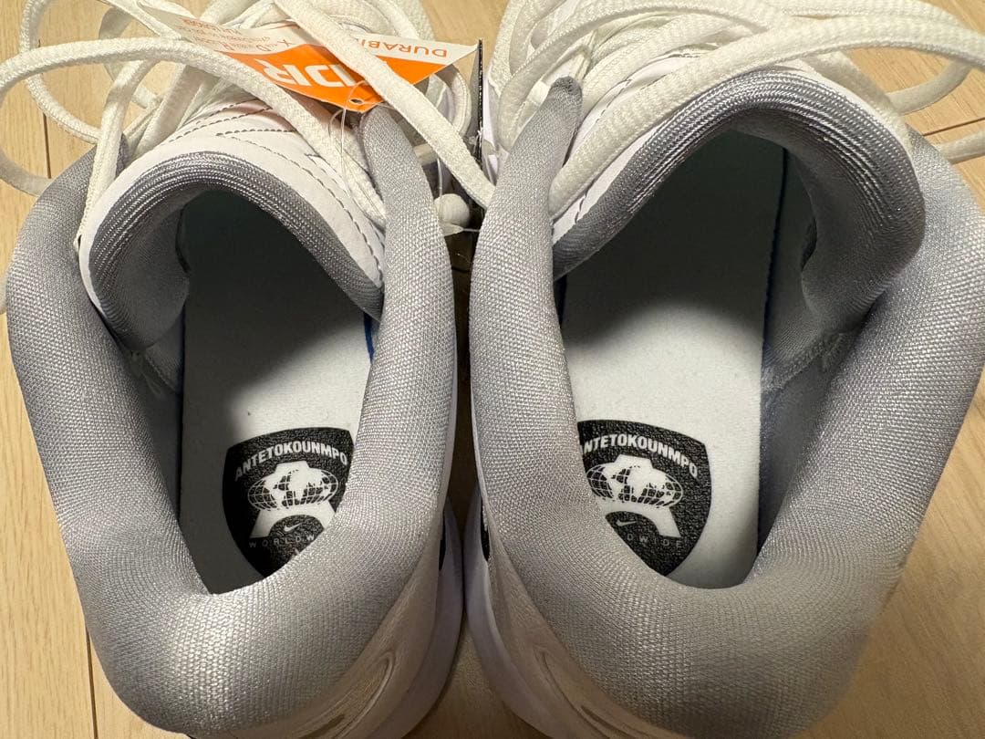 【NIKE】GIANNIS FREAK 6
