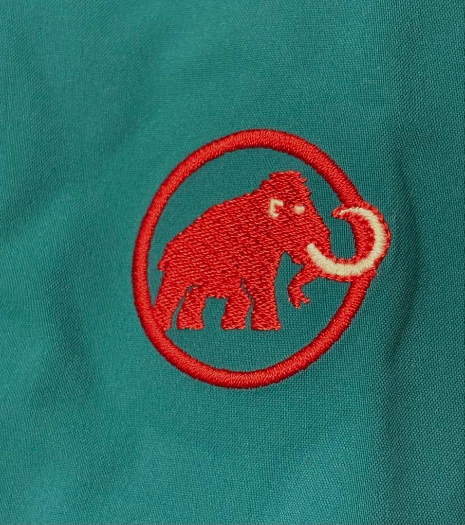 MAMMUT スノーボード・スキーパンツ ターコイズ 男性用