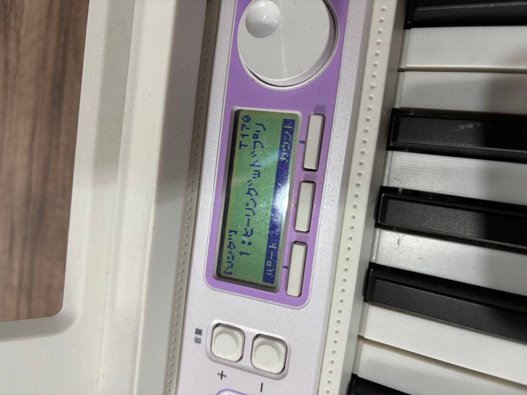 CASIO LK-315 光ナビゲーションキーボード 電子ピアノ
