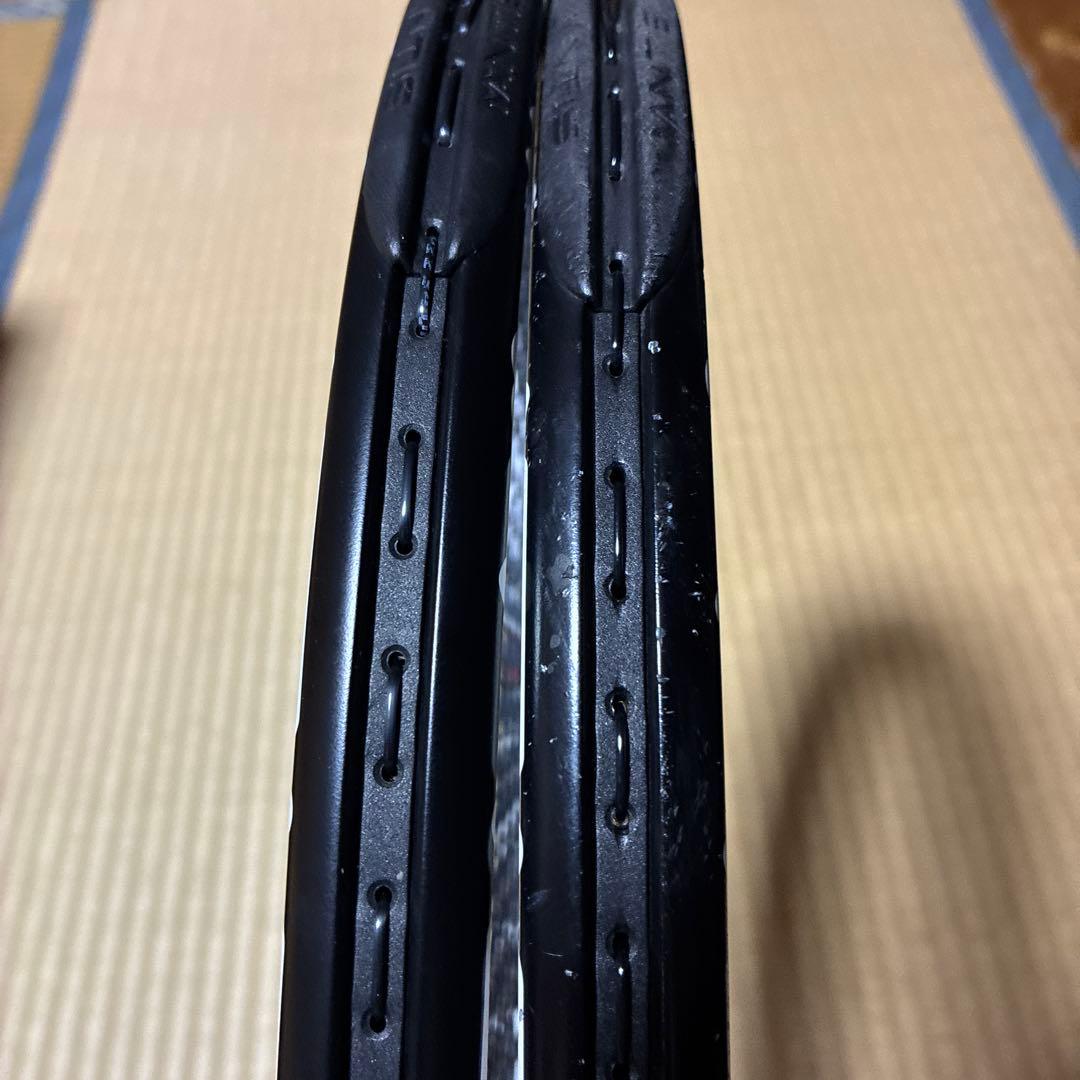 Mantis PRO 295 2本セット