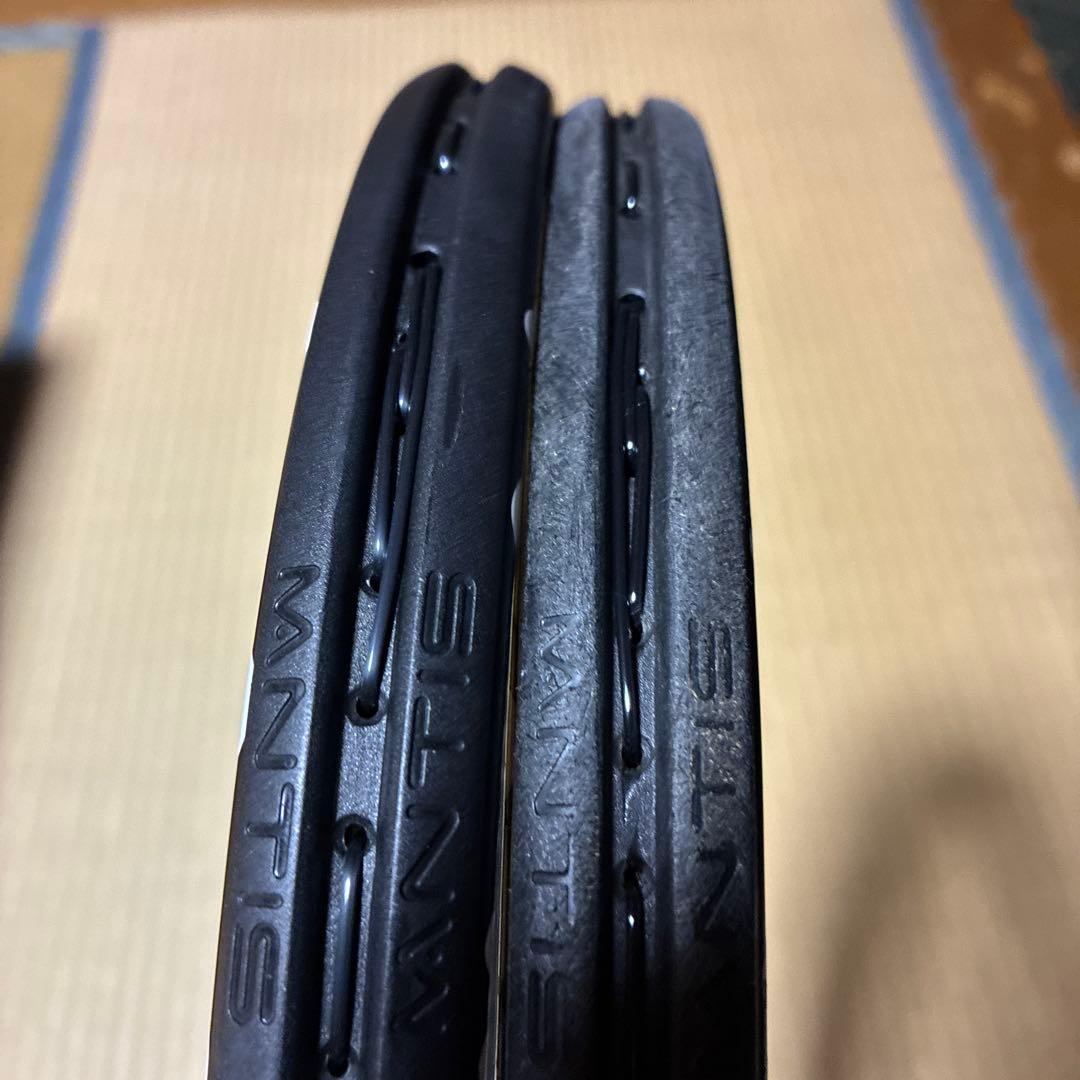 Mantis PRO 295 2本セット