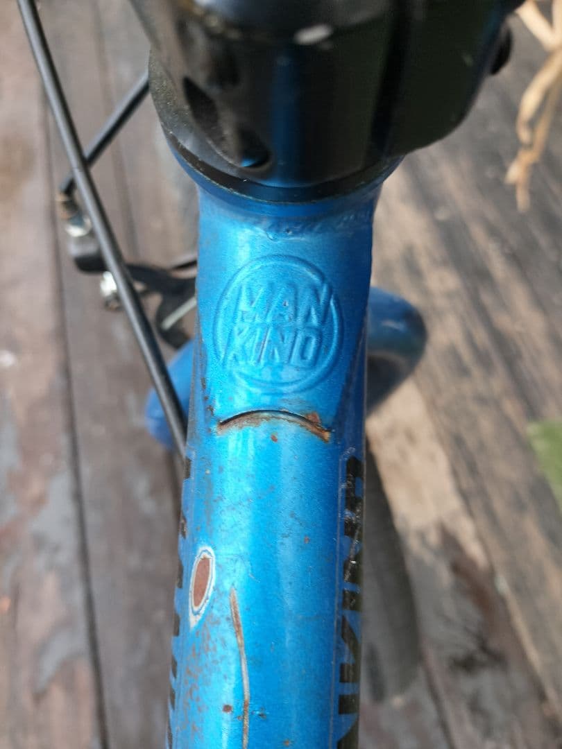 MANKIND 16 BMXバイク ブルー
