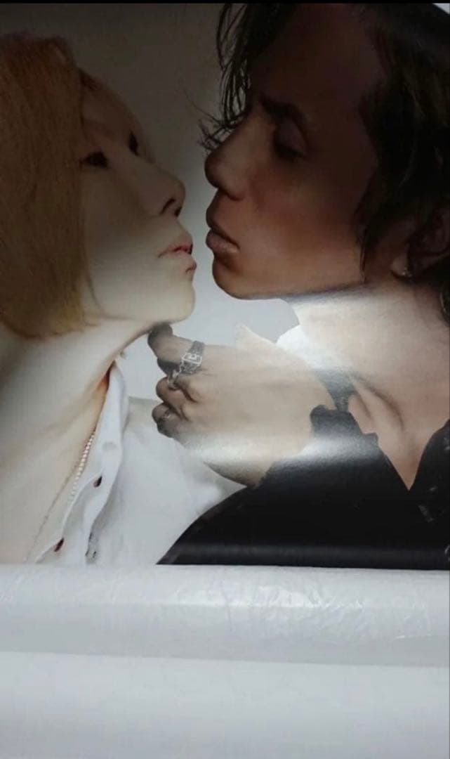 Acid Black Cherry ポスター　カレンダー　セット