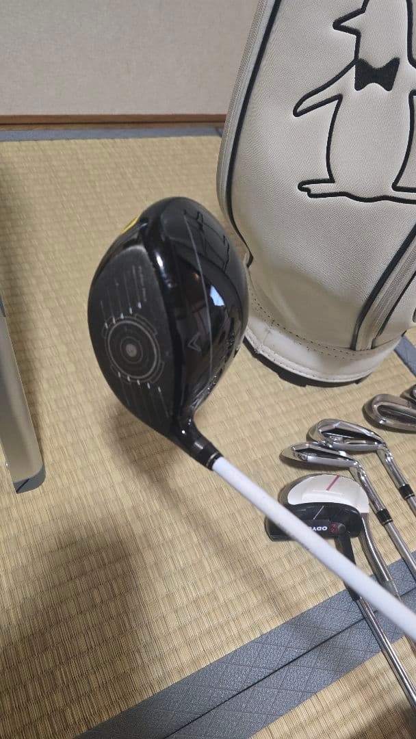 【中古】レディースクラブセット 12本