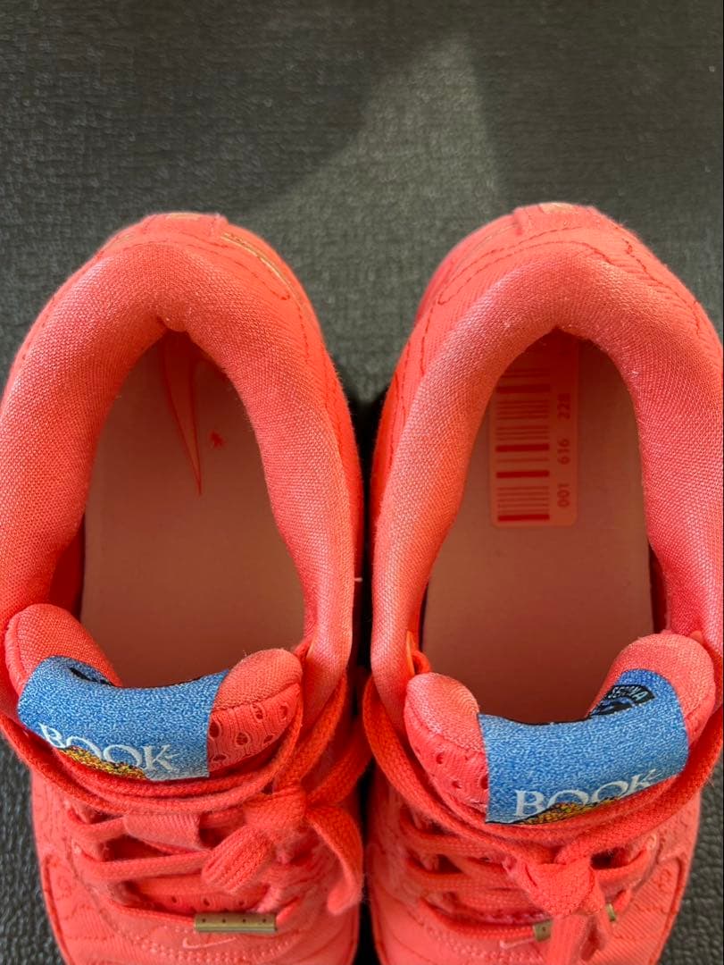 NIKE BOOK1 ブック1 \"Sedona\" 26.0cm