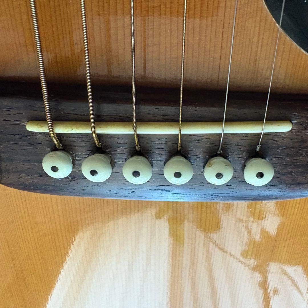 Cat's Eyes CE-600 大文字ロゴ 東海楽器アコースティックギター