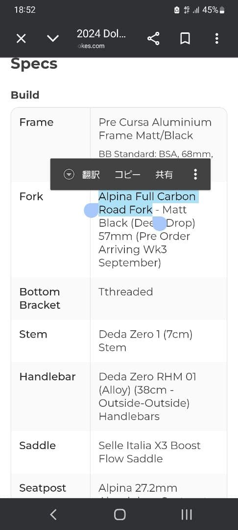 アルピナ　Alpina Full Carbon Road Fork　ピスト