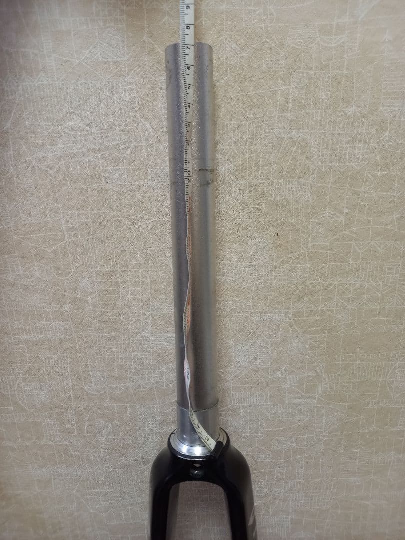 アルピナ　Alpina Full Carbon Road Fork　ピスト