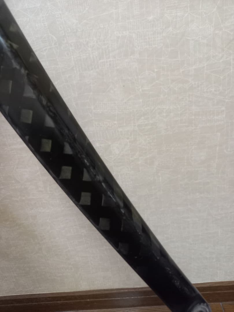 アルピナ　Alpina Full Carbon Road Fork　ピスト