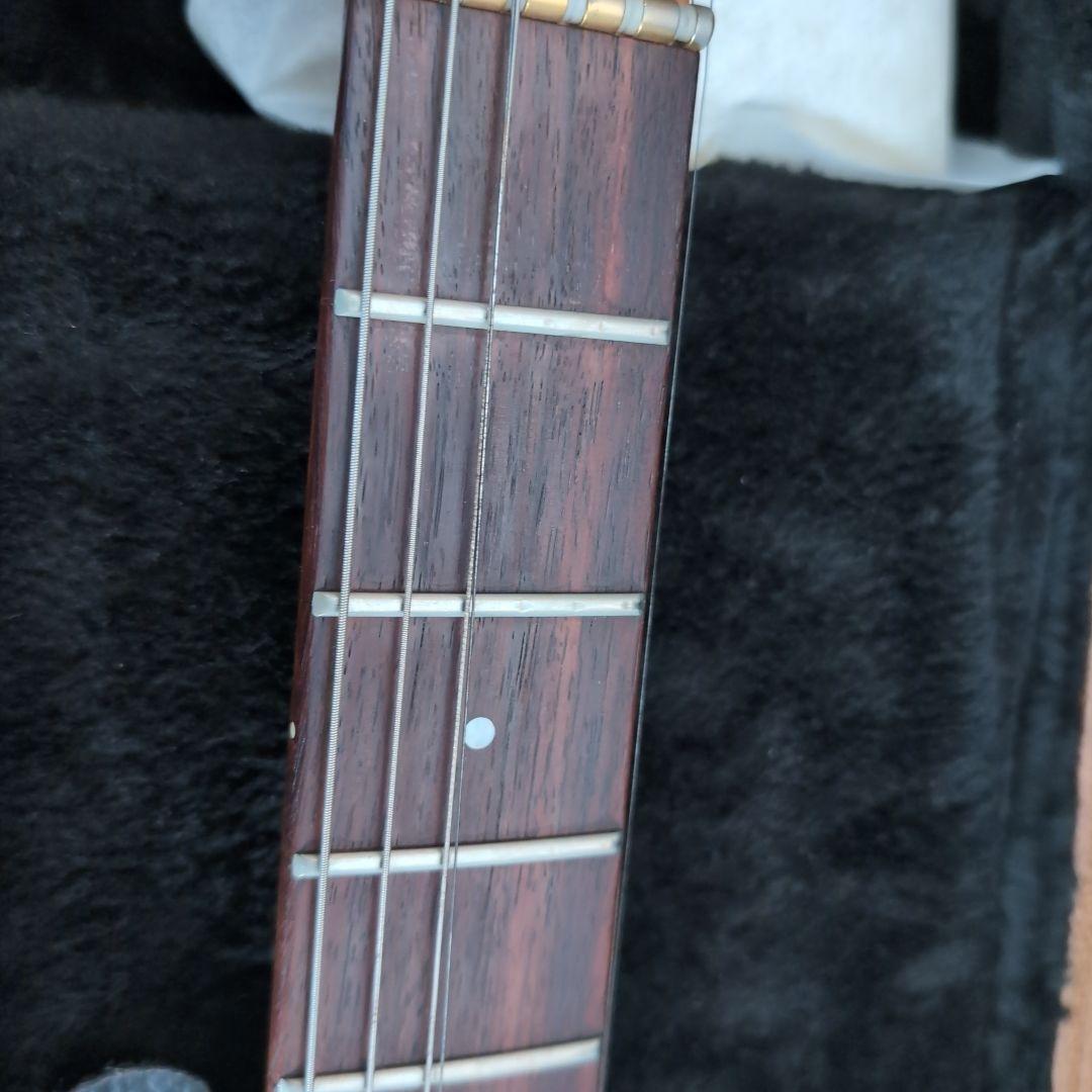 FERNANDES 　FR-100