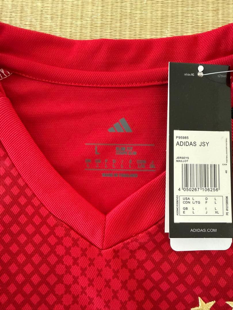 【激レア・お買い得　25/26 AEROREDY】　アヤックス　22
