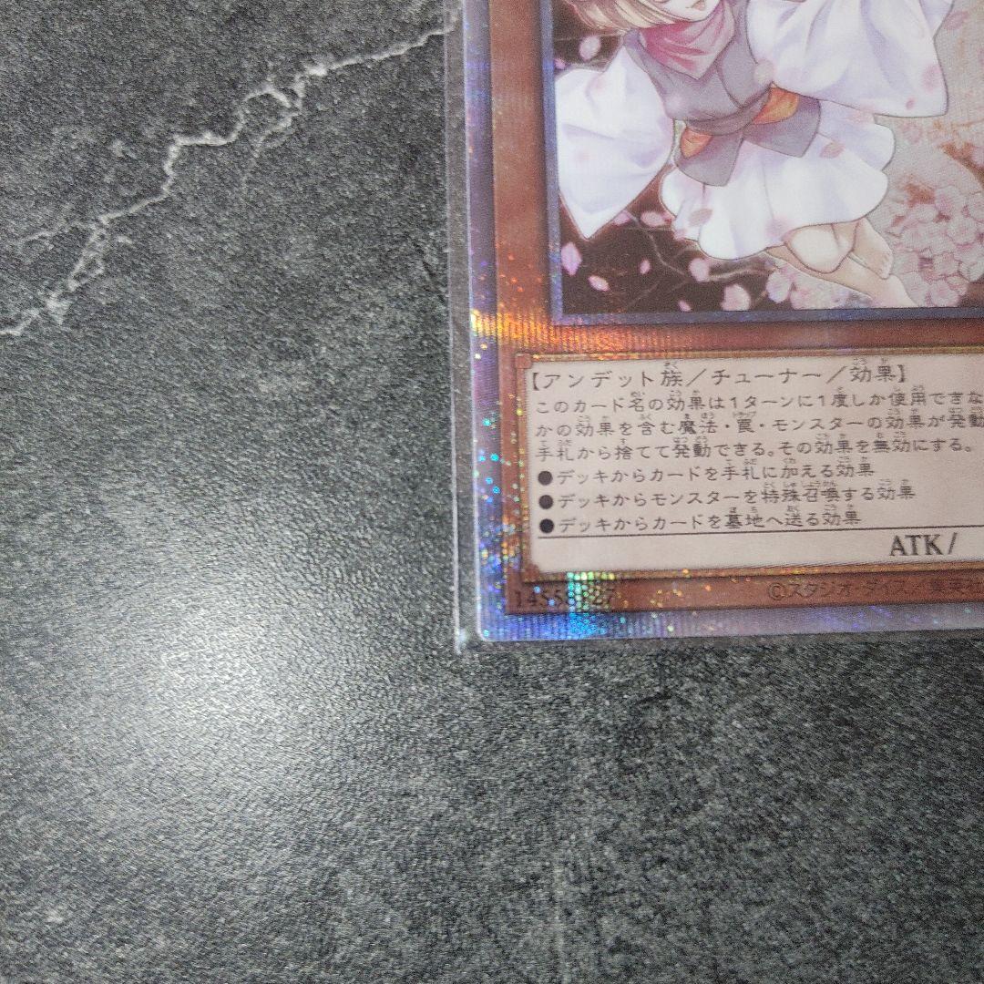 遊戯王OCG 灰流うらら　プリズマ　はるうらら