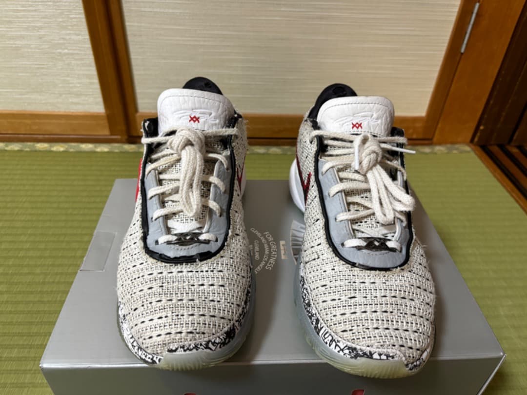 シューズ(男性用) LeBron 20 26.5cm