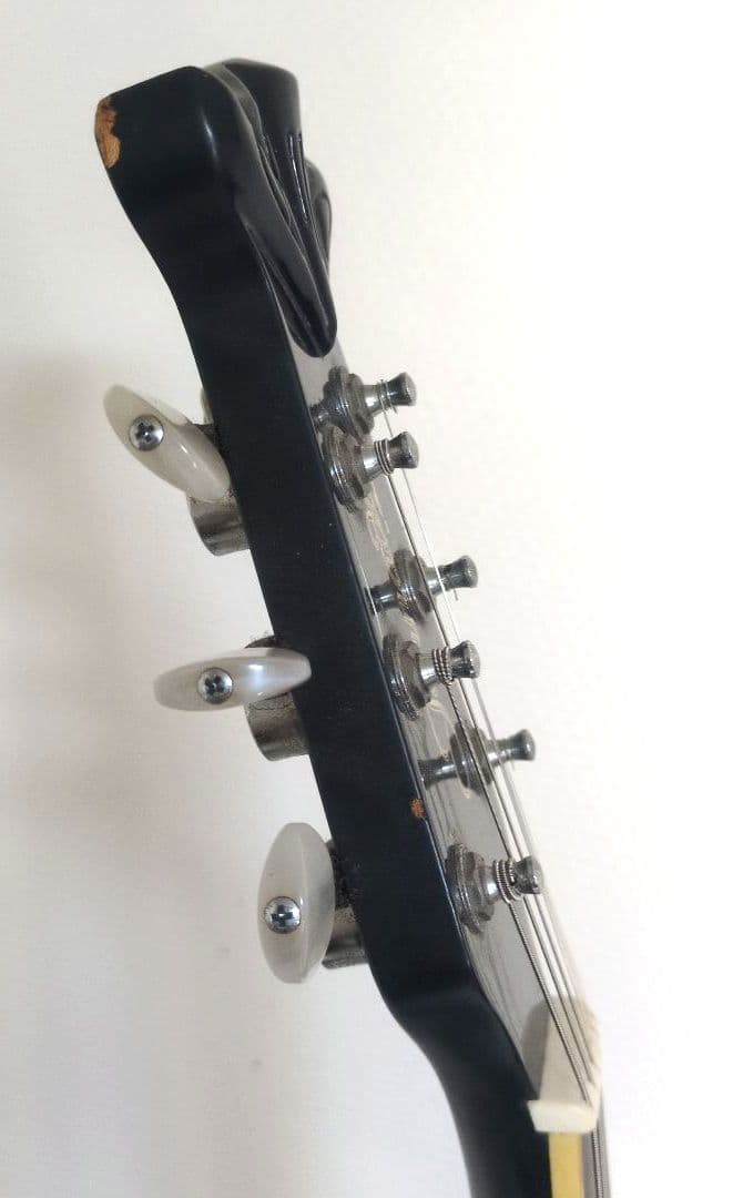 Morris エレアコ Tornado ZⅡ ソフトケース付