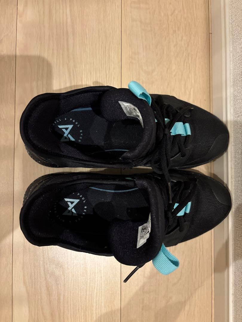 NIKE PG 3 EP pg3 ナイキ ポールジョージ バッシュ 26.5cm