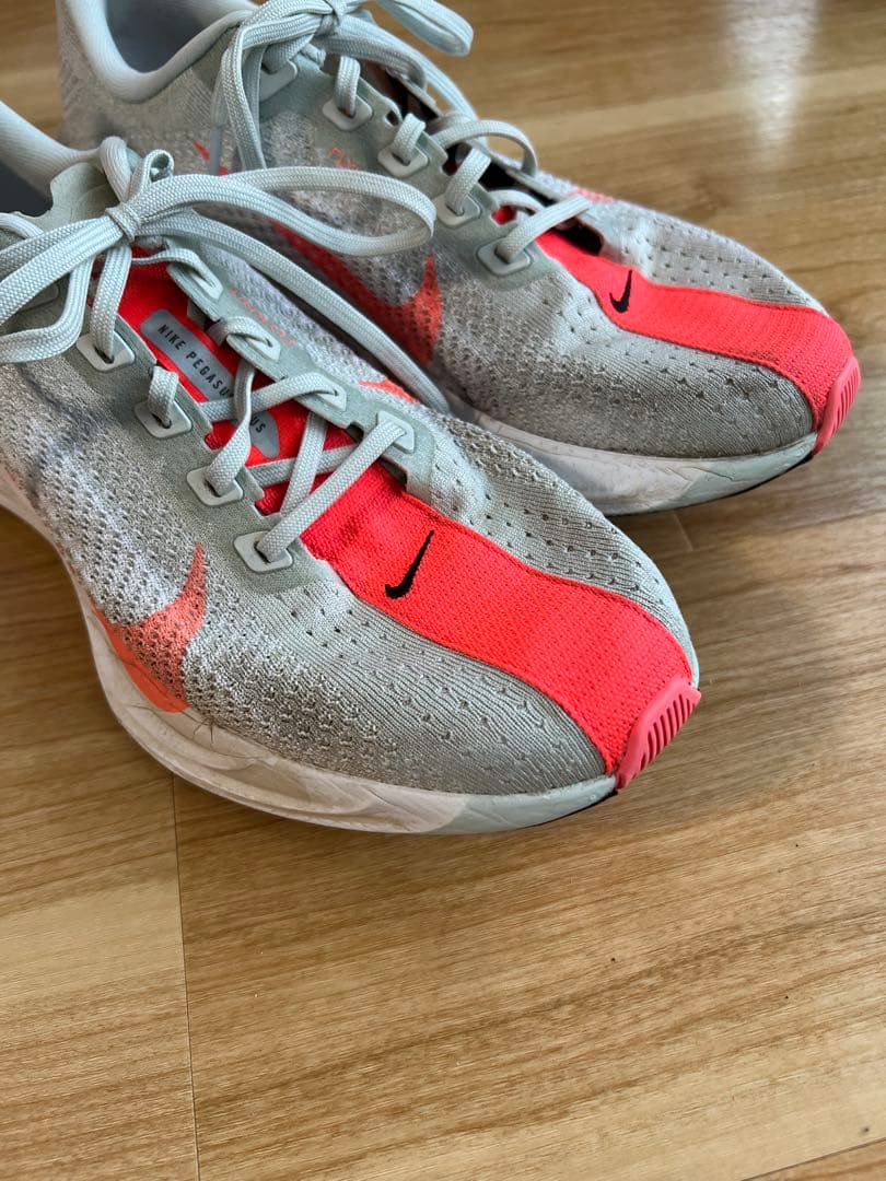 Nike ペガサスプラス27cm