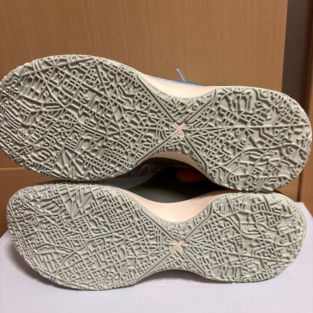 レブロンネクストジェン　LEBRONNXXTGEN 26.5cm
