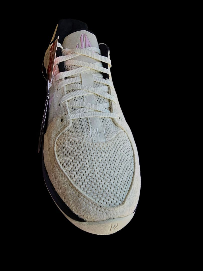 NIKE JA2 EP 28.5cm 新品 ココナッツミルク