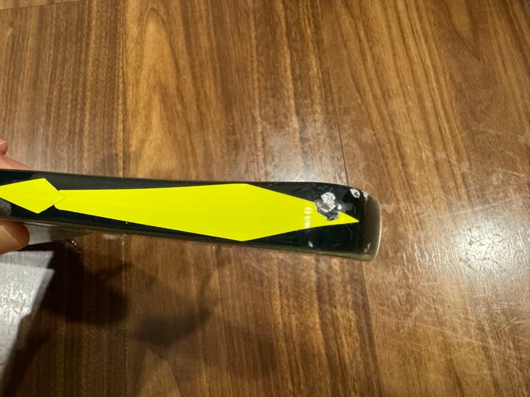 ワイルドルアーズ/ワイルドビート285SS鮎カラー