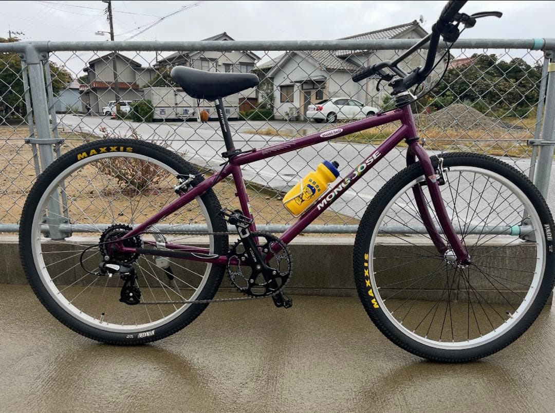 ガレージ保管Mon IBOC old mtb