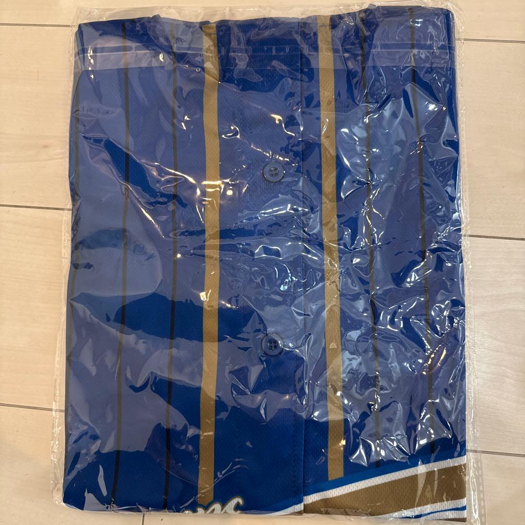 町田 ゼルビア グッズ 谷晃生サイン付き